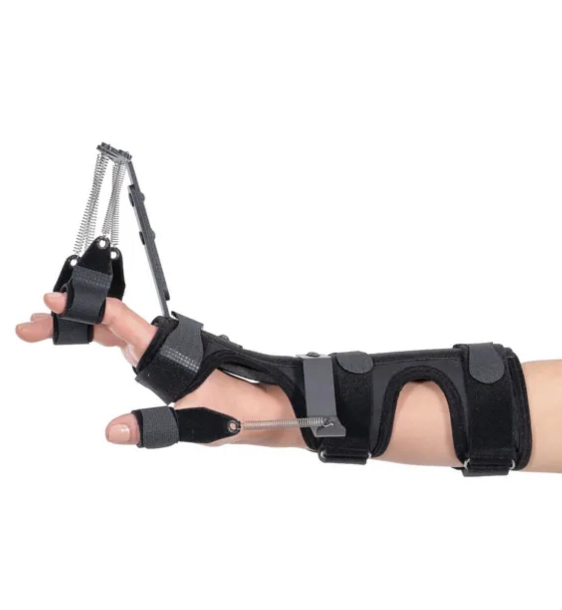 WhatsApp Image 2025-02-20 at 2.46.38 PM (1)