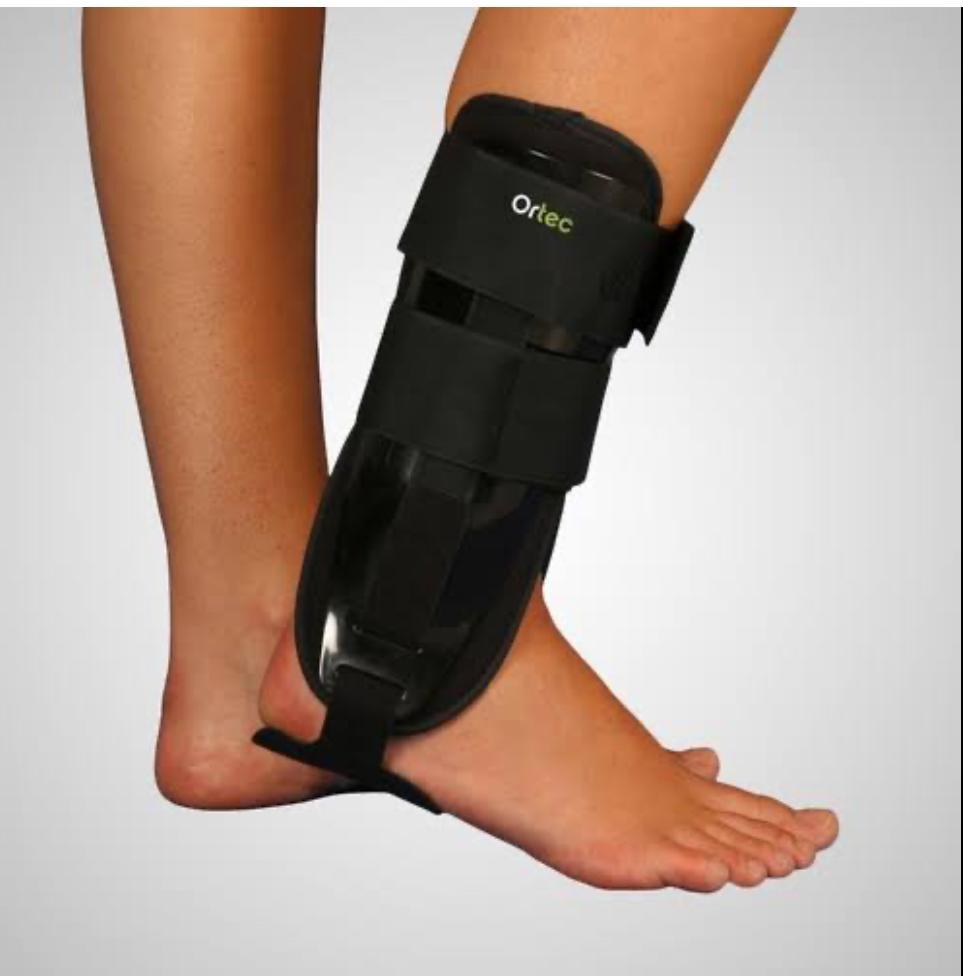 WhatsApp Image 2025-02-20 at 2.46.43 PM (1)