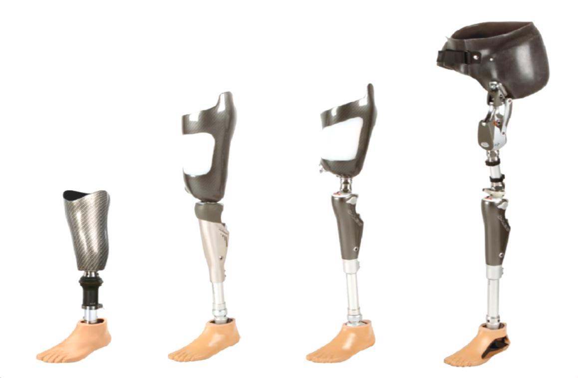 WhatsApp Image 2025-02-21 at 1.32.14 PM